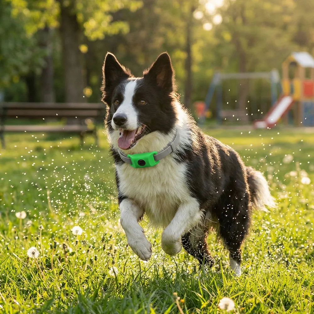 Free your pet from Fleas and Ticks with The Natural Protection Collar for Pets