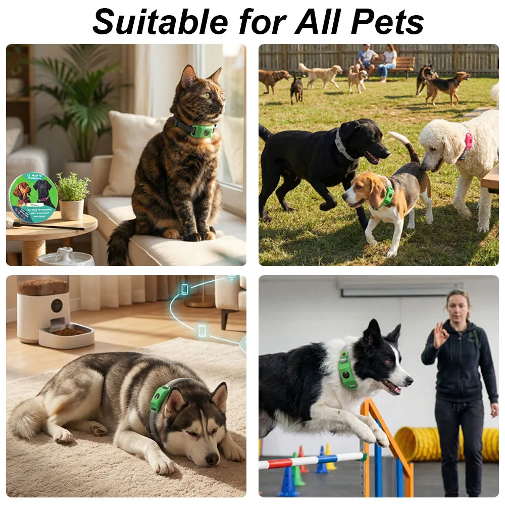 Free your pet from Fleas and Ticks with The Natural Protection Collar for Pets