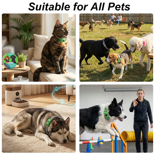 Free your pet from Fleas and Ticks with The Natural Protection Collar for Pets
